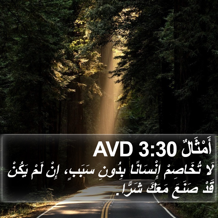 أَمْثَالٌ 3:30 AVD Bible Study