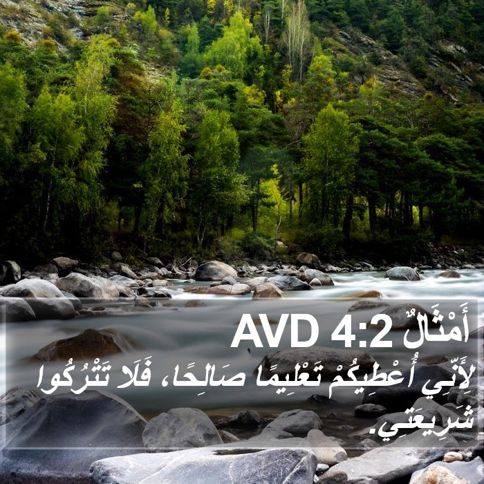 أَمْثَالٌ 4:2 AVD Bible Study