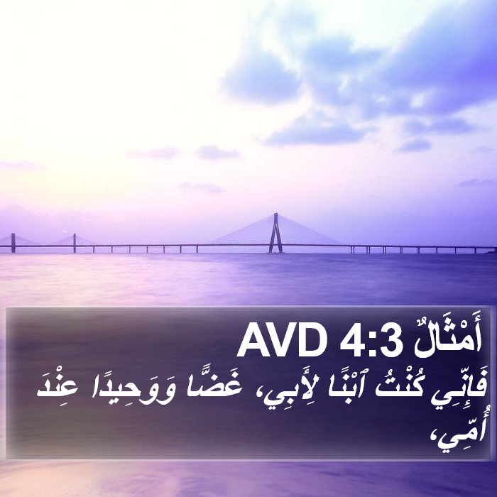 أَمْثَالٌ 4:3 AVD Bible Study