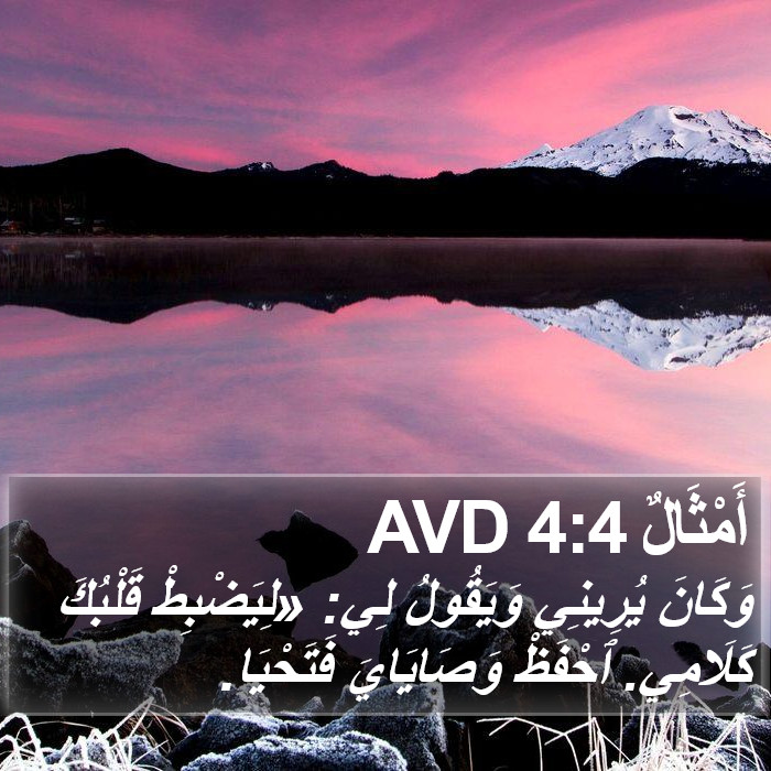 أَمْثَالٌ 4:4 AVD Bible Study