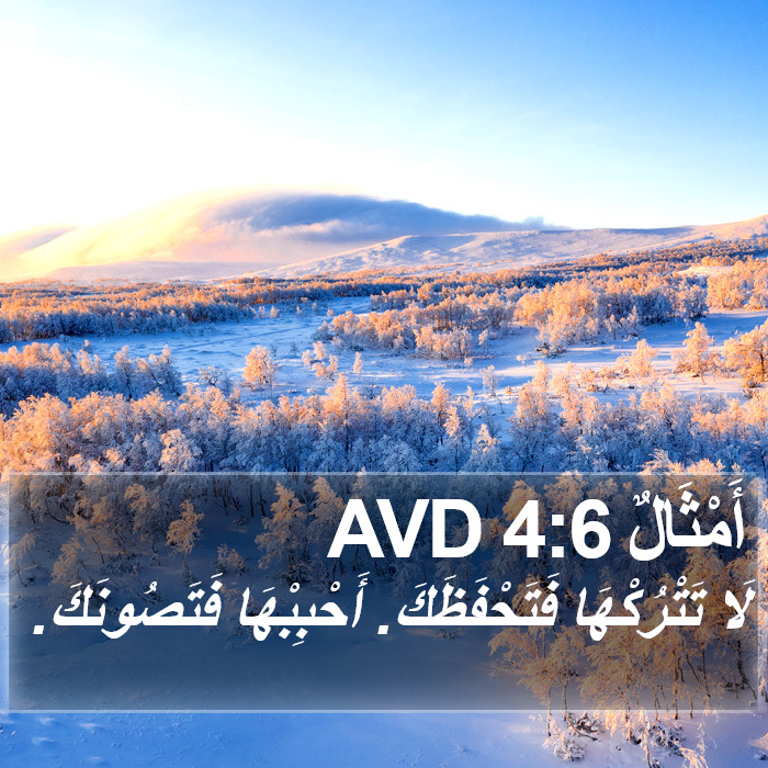 أَمْثَالٌ 4:6 AVD Bible Study