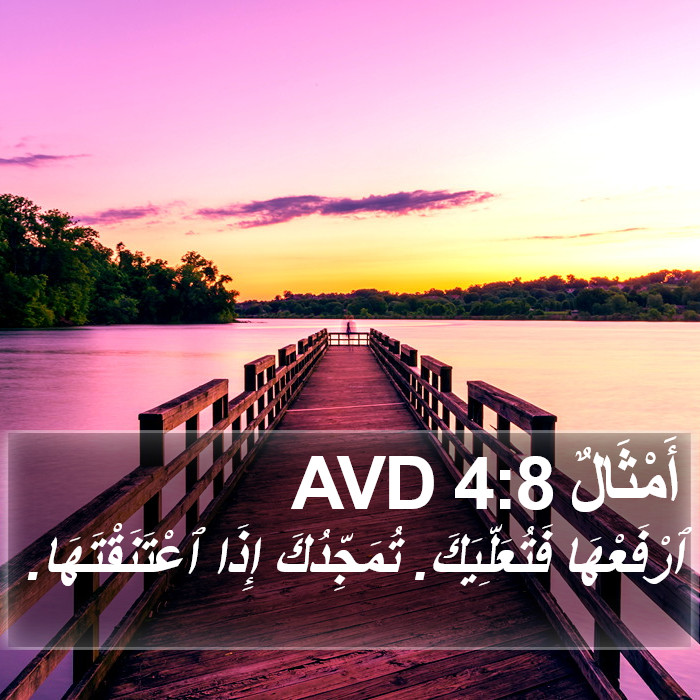 أَمْثَالٌ 4:8 AVD Bible Study