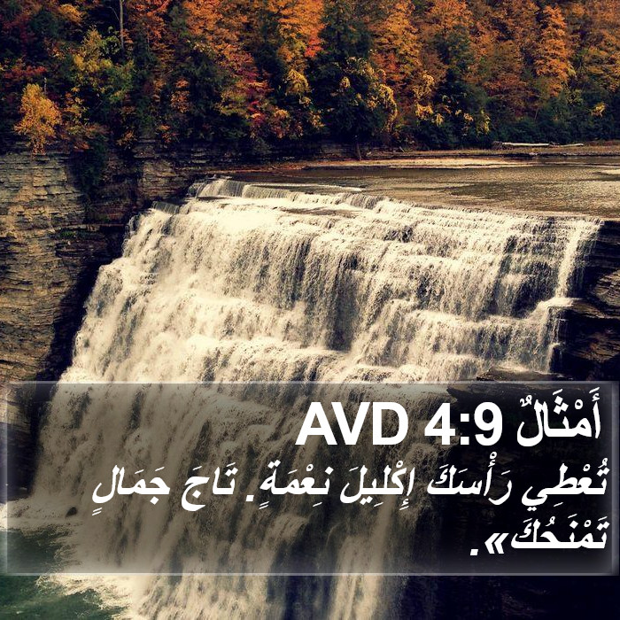 أَمْثَالٌ 4:9 AVD Bible Study