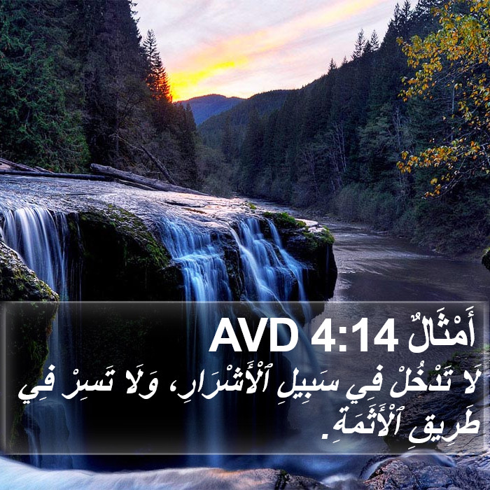 أَمْثَالٌ 4:14 AVD Bible Study