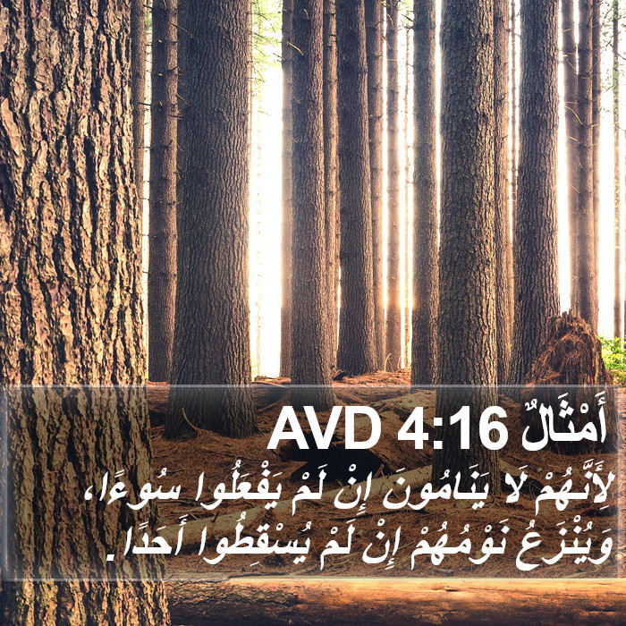 أَمْثَالٌ 4:16 AVD Bible Study