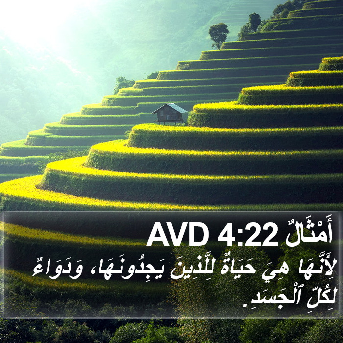 أَمْثَالٌ 4:22 AVD Bible Study