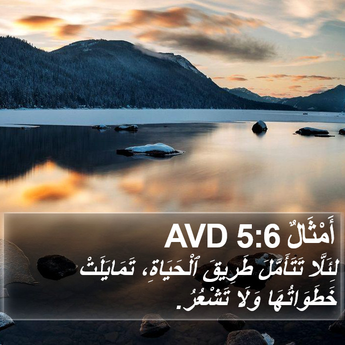 أَمْثَالٌ 5:6 AVD Bible Study