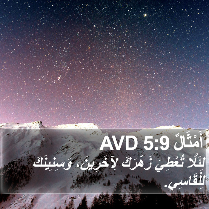 أَمْثَالٌ 5:9 AVD Bible Study