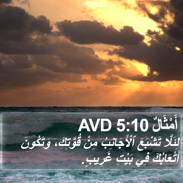 أَمْثَالٌ 5:10 AVD Bible Study