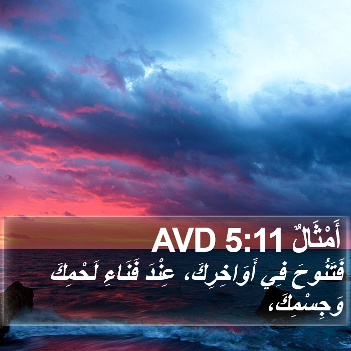 أَمْثَالٌ 5:11 AVD Bible Study