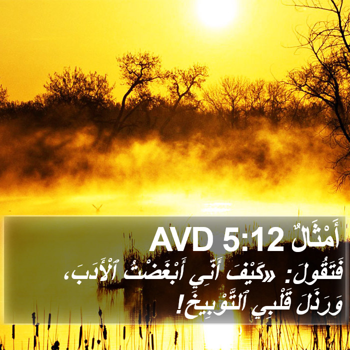 أَمْثَالٌ 5:12 AVD Bible Study