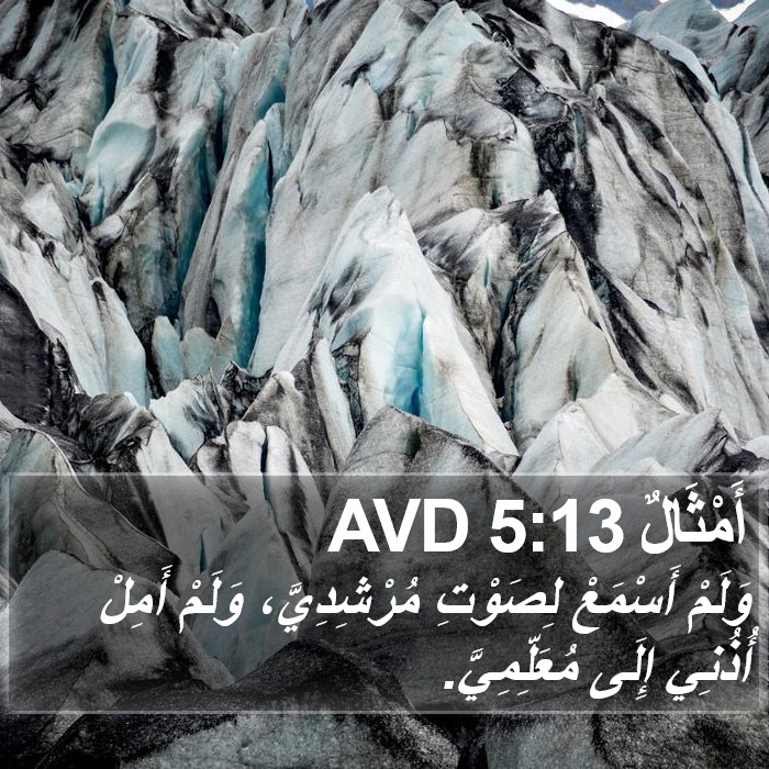 أَمْثَالٌ 5:13 AVD Bible Study