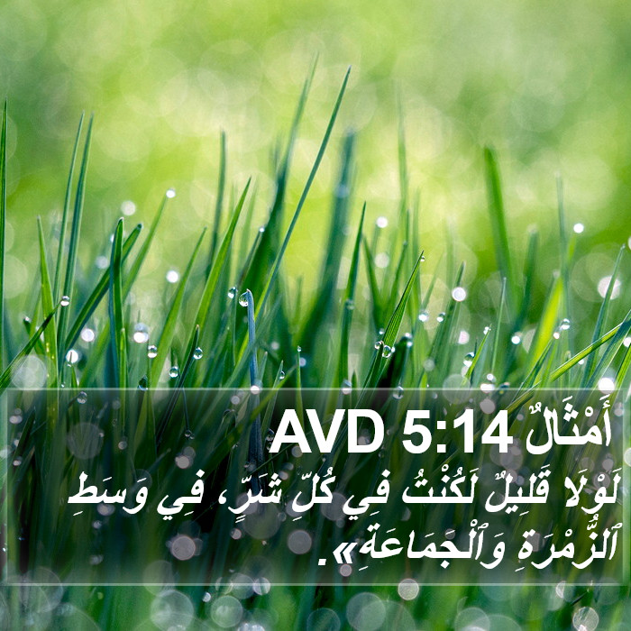 أَمْثَالٌ 5:14 AVD Bible Study