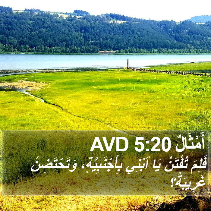 أَمْثَالٌ 5:20 AVD Bible Study