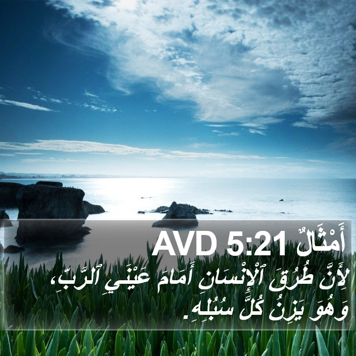 أَمْثَالٌ 5:21 AVD Bible Study