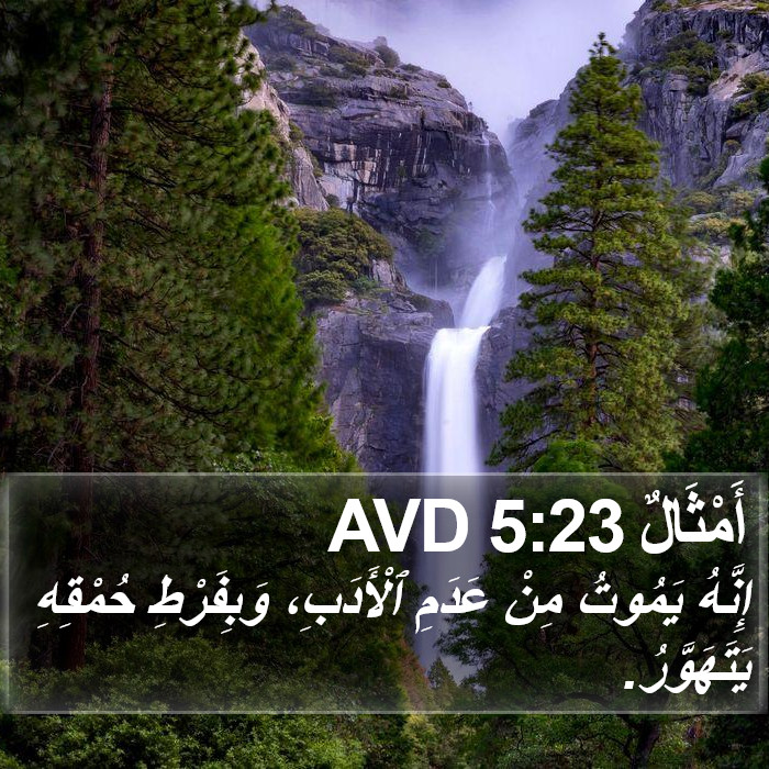 أَمْثَالٌ 5:23 AVD Bible Study