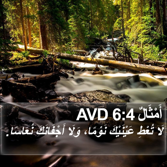 أَمْثَالٌ 6:4 AVD Bible Study