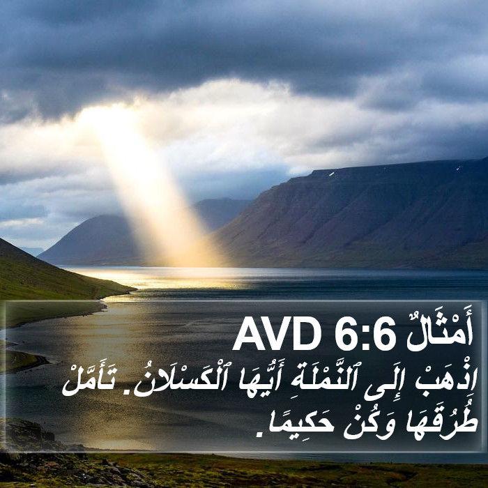 أَمْثَالٌ 6:6 AVD Bible Study