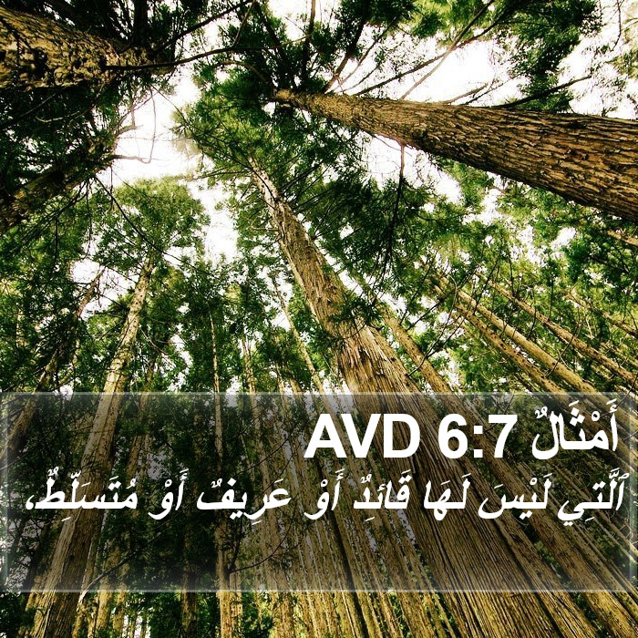 أَمْثَالٌ 6:7 AVD Bible Study