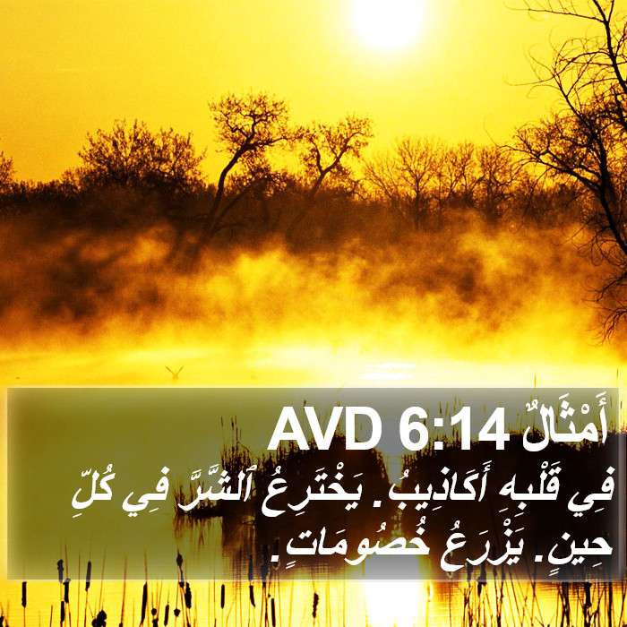 أَمْثَالٌ 6:14 AVD Bible Study