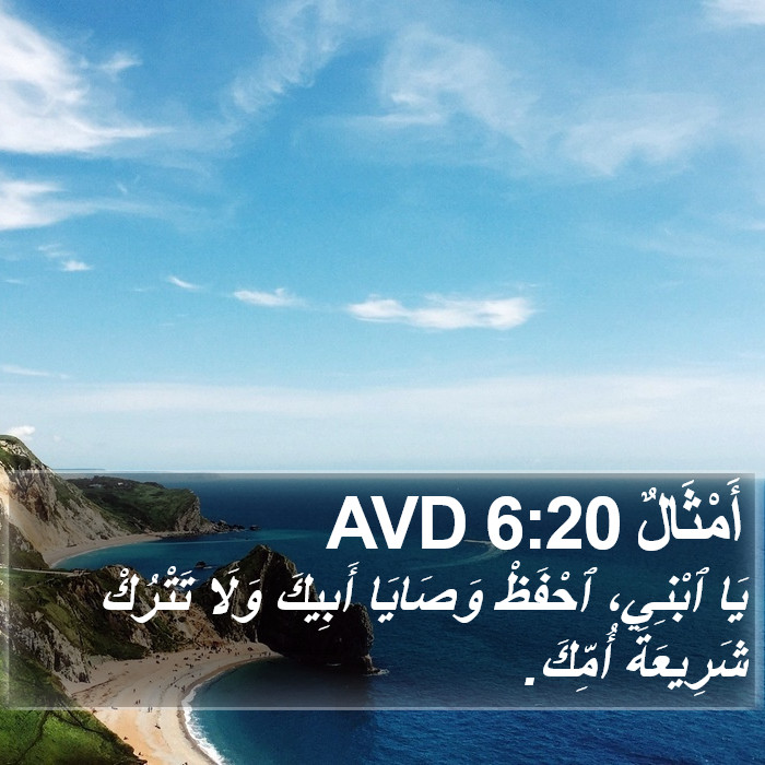 أَمْثَالٌ 6:20 AVD Bible Study