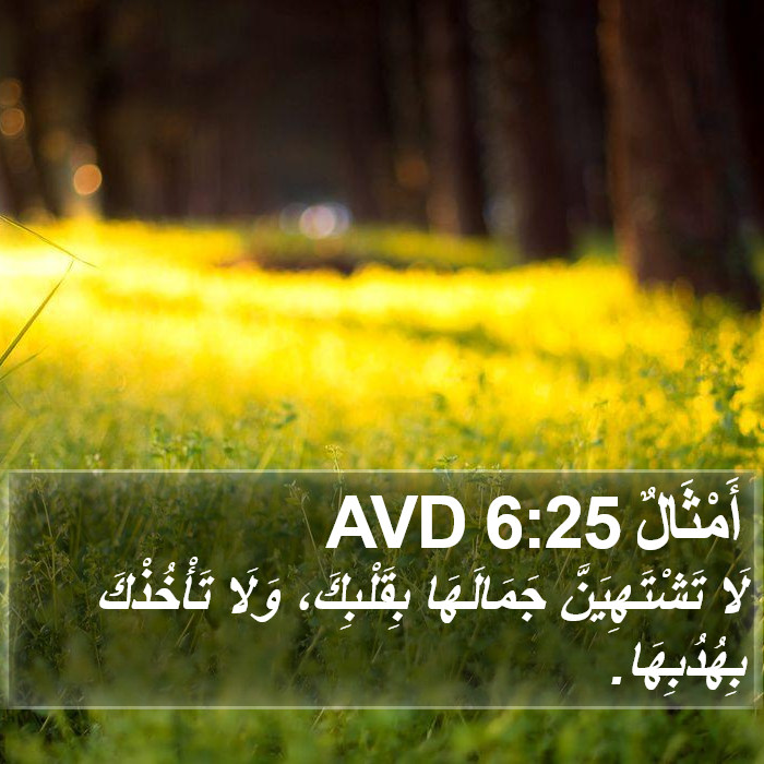 أَمْثَالٌ 6:25 AVD Bible Study