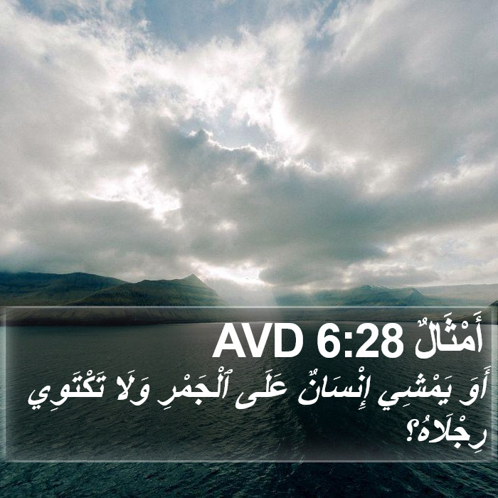 أَمْثَالٌ 6:28 AVD Bible Study
