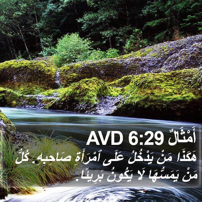 أَمْثَالٌ 6:29 AVD Bible Study