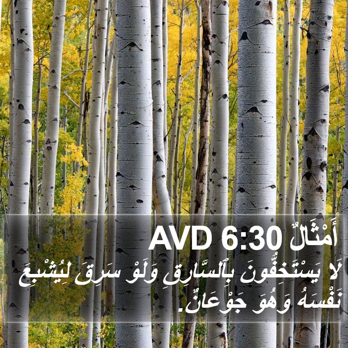 أَمْثَالٌ 6:30 AVD Bible Study