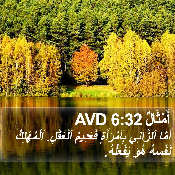 أَمْثَالٌ 6:32 AVD Bible Study