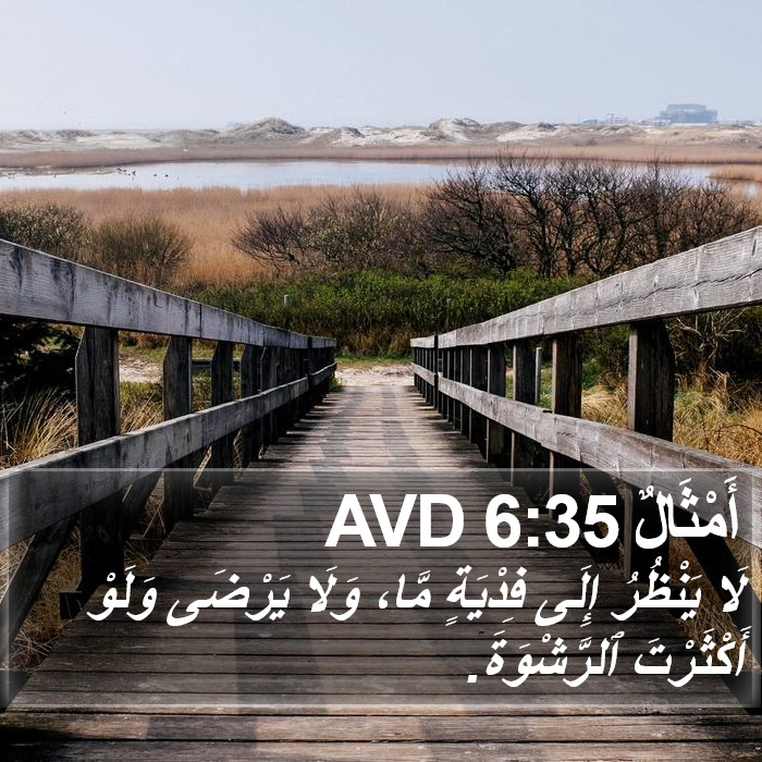 أَمْثَالٌ 6:35 AVD Bible Study