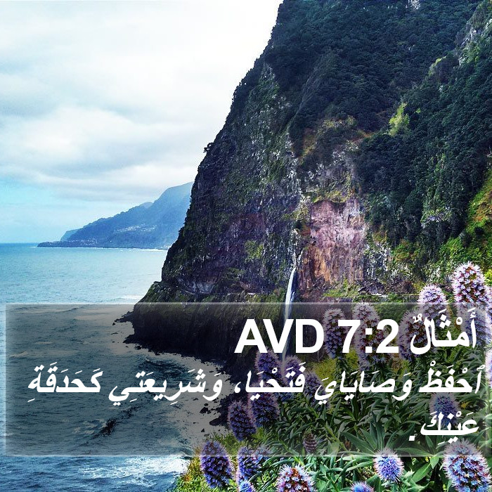 أَمْثَالٌ 7:2 AVD Bible Study