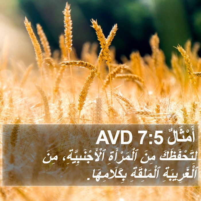 أَمْثَالٌ 7:5 AVD Bible Study