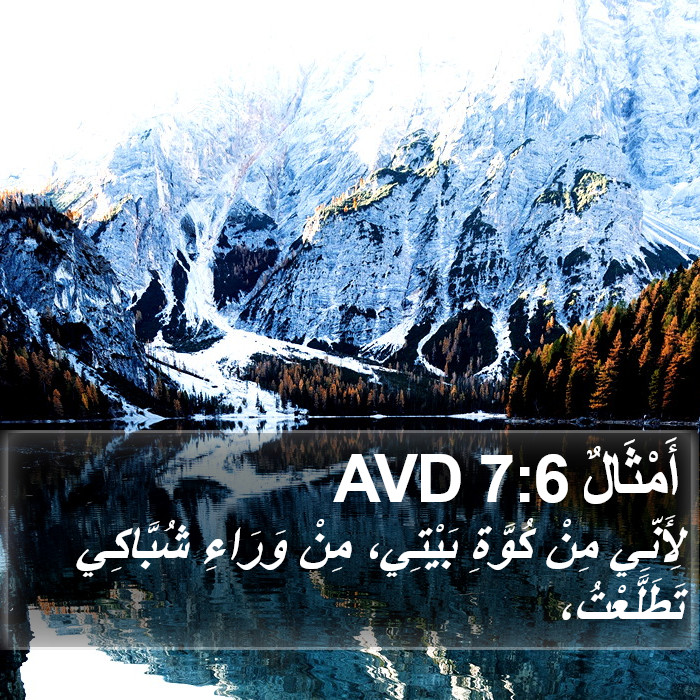 أَمْثَالٌ 7:6 AVD Bible Study