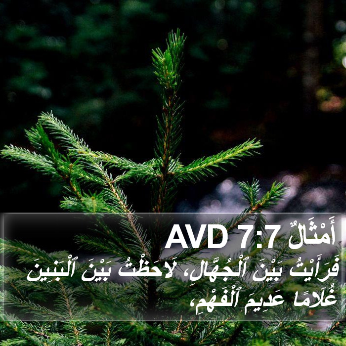 أَمْثَالٌ 7:7 AVD Bible Study