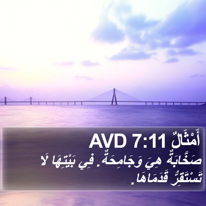 أَمْثَالٌ 7:11 AVD Bible Study