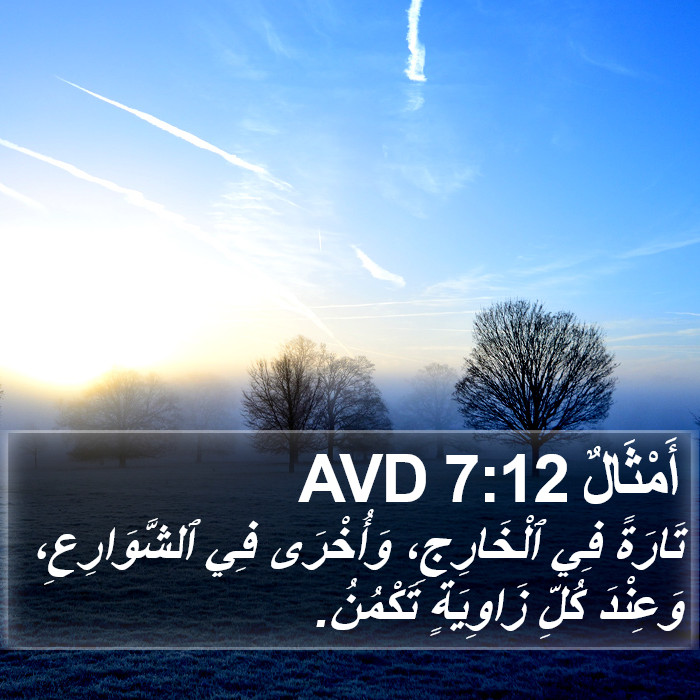 أَمْثَالٌ 7:12 AVD Bible Study