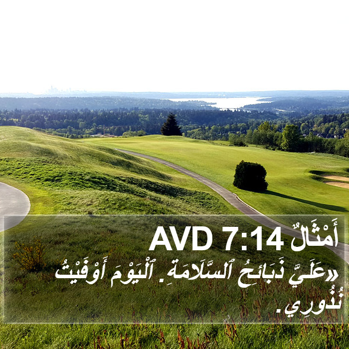 أَمْثَالٌ 7:14 AVD Bible Study