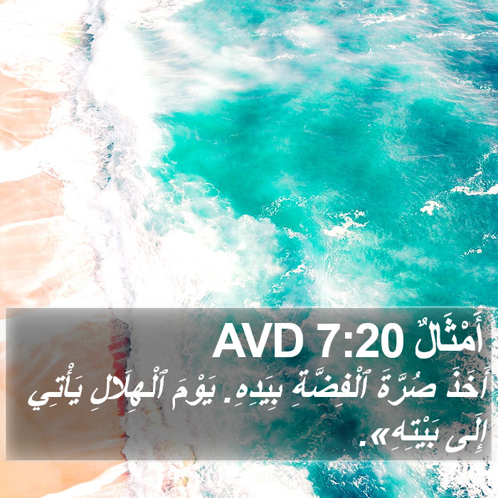 أَمْثَالٌ 7:20 AVD Bible Study