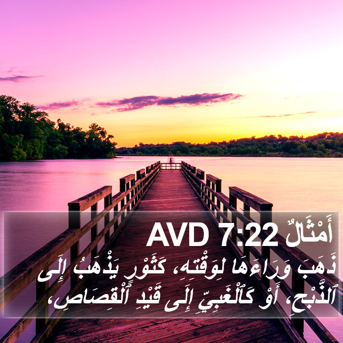 أَمْثَالٌ 7:22 AVD Bible Study