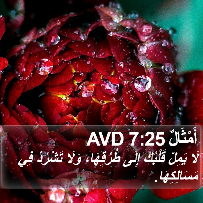 أَمْثَالٌ 7:25 AVD Bible Study