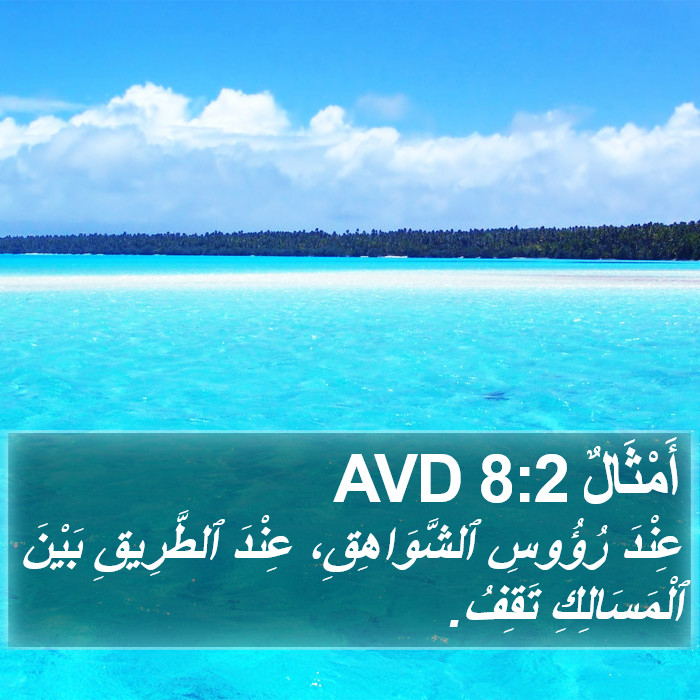 أَمْثَالٌ 8:2 AVD Bible Study