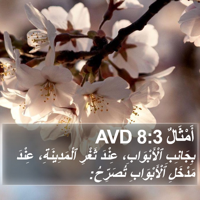أَمْثَالٌ 8:3 AVD Bible Study