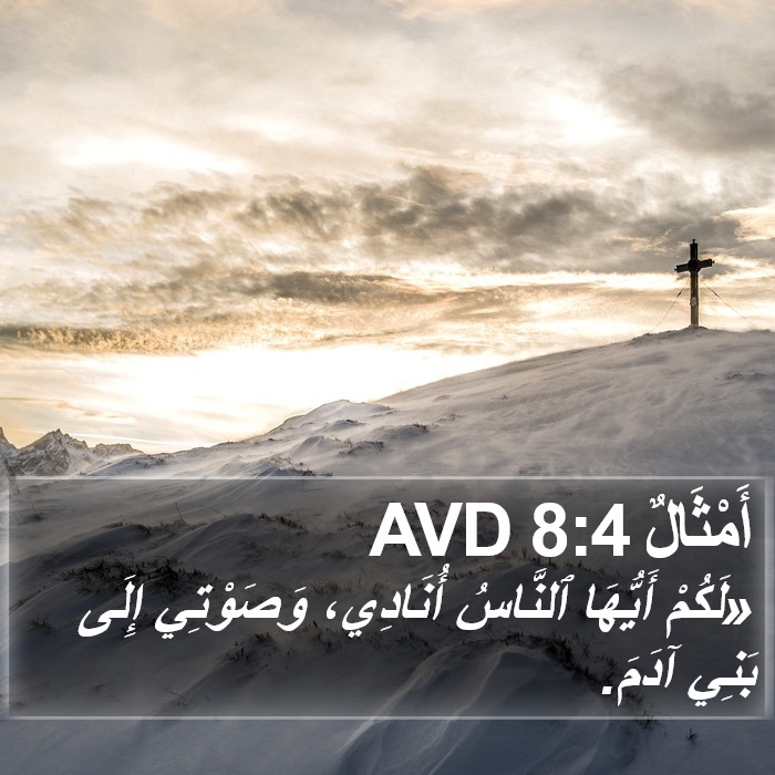 أَمْثَالٌ 8:4 AVD Bible Study