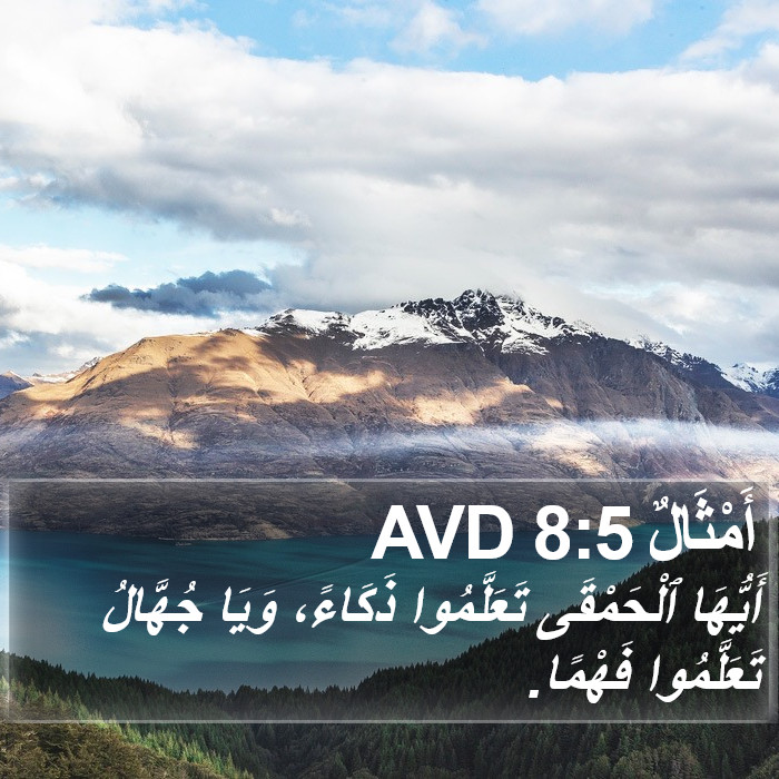 أَمْثَالٌ 8:5 AVD Bible Study