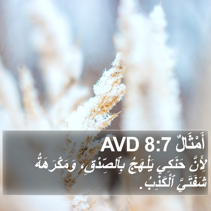 أَمْثَالٌ 8:7 AVD Bible Study