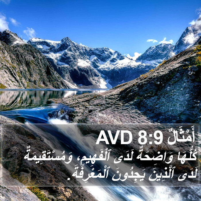 أَمْثَالٌ 8:9 AVD Bible Study