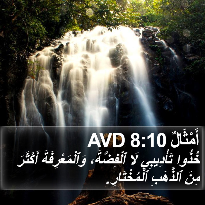 أَمْثَالٌ 8:10 AVD Bible Study