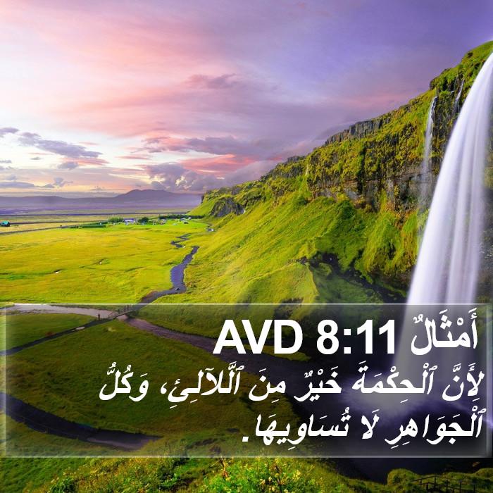 أَمْثَالٌ 8:11 AVD Bible Study