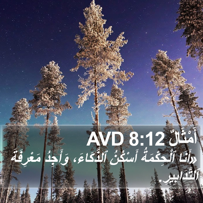 أَمْثَالٌ 8:12 AVD Bible Study